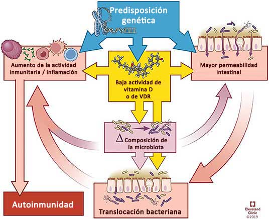 Deficiencia de vitamina d