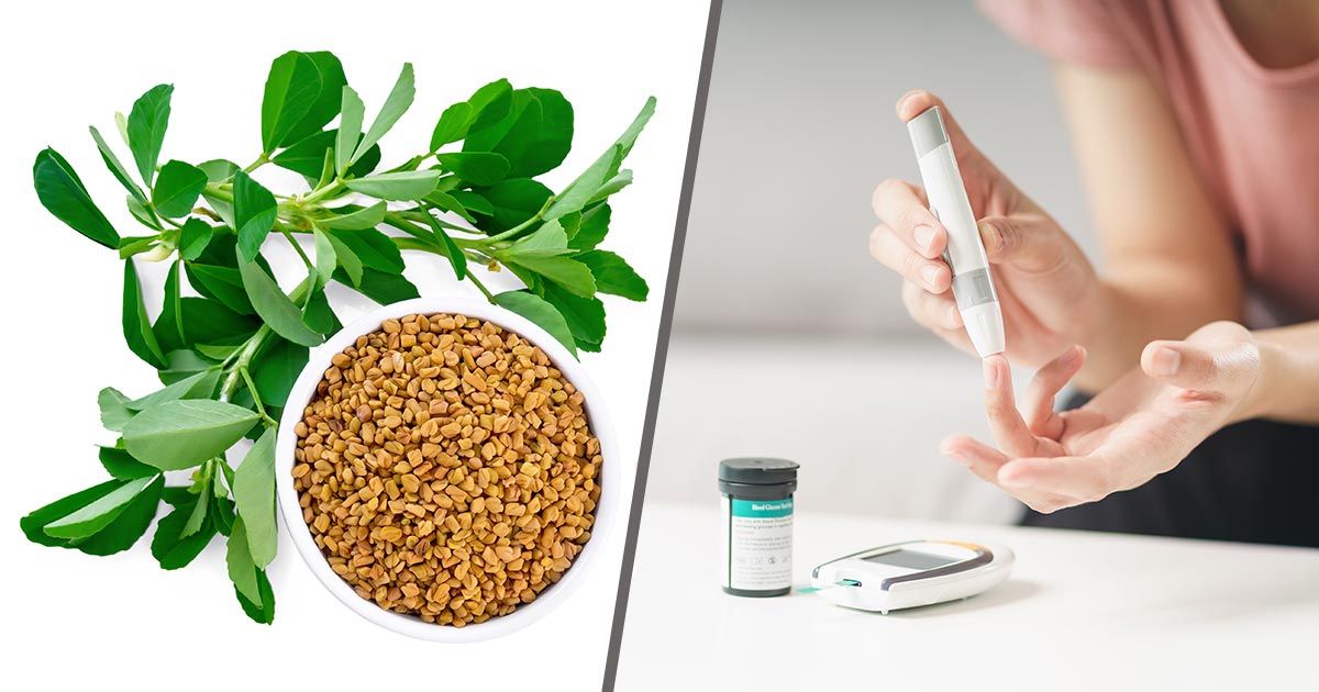 Does Fenugreek Control Blood Sugar at Verna Loney blog