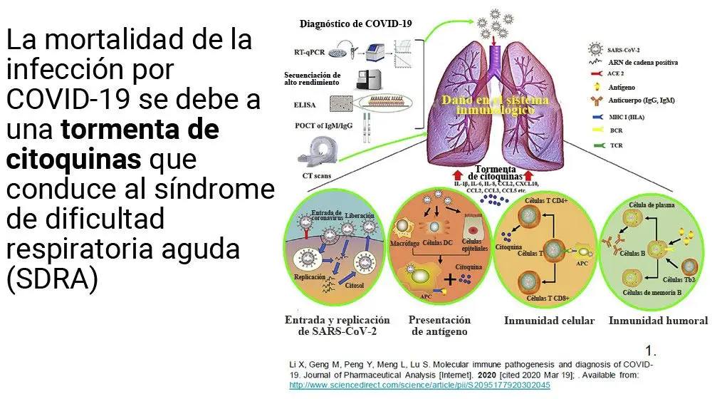 Diagnostico de covid