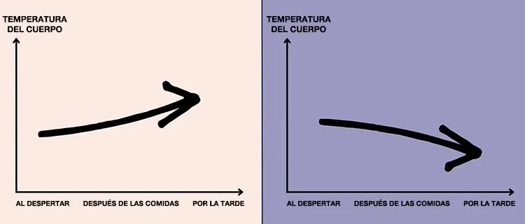 De sobrevivir a prosperar: aumente su metabolismo con estos cambios