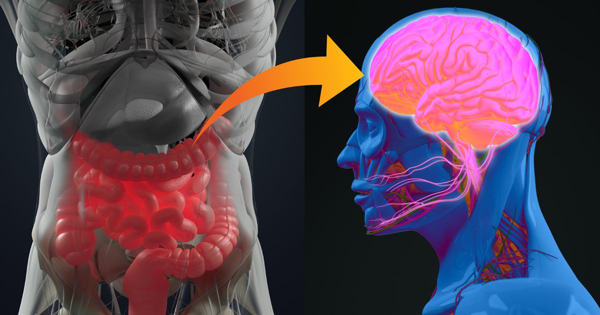 Autismo: ¿Cómo influye la conexión entre el cerebro y el intestino?