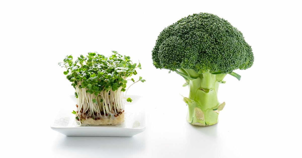 El brócoli tiene un compuesto que podría estimular la función cognitiva