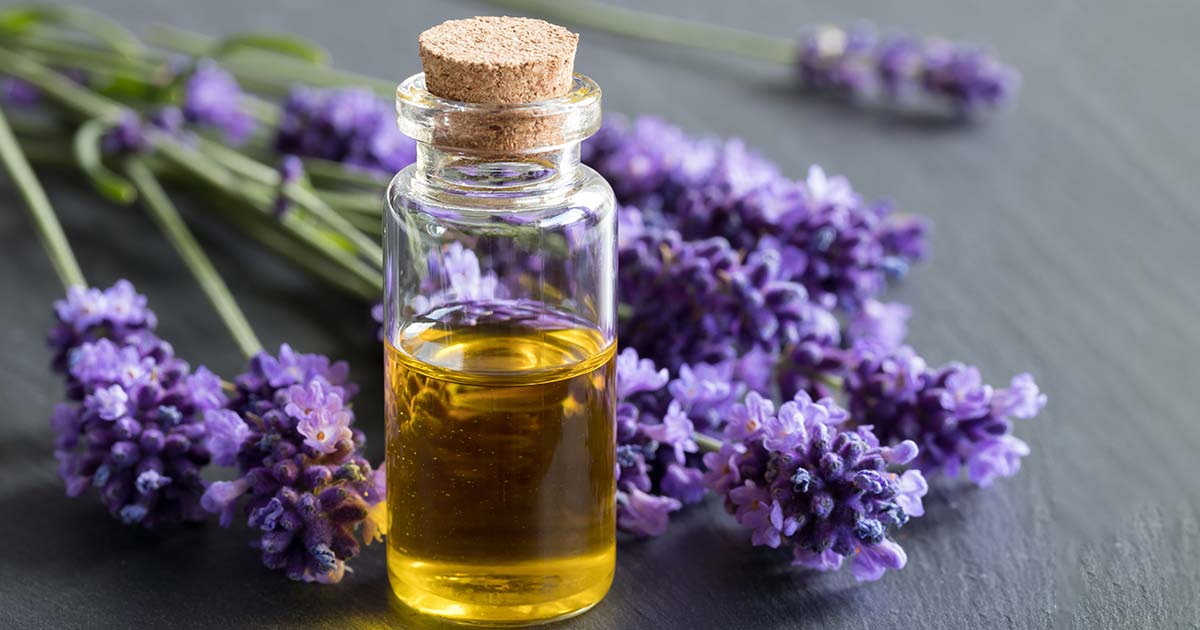 El aceite de lavanda tiene un poderoso efecto antifúngico