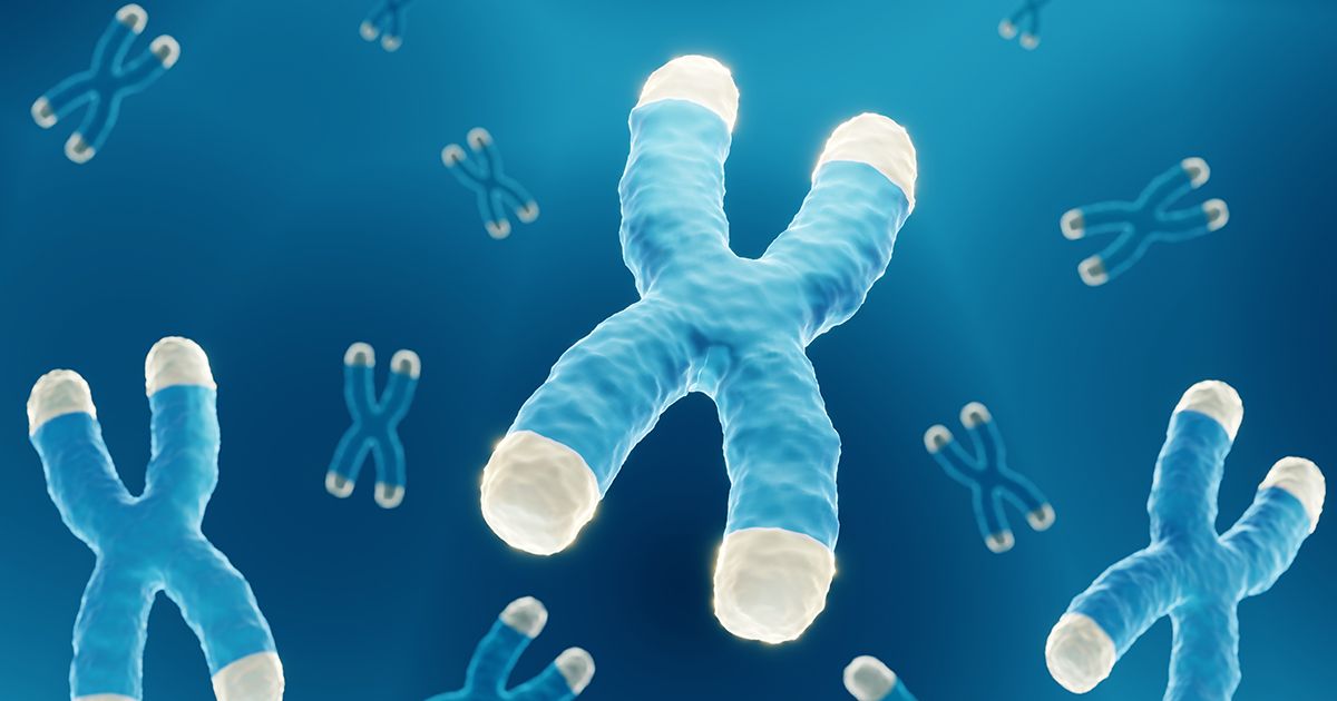 Los mitos y verdades sobre los telómeros