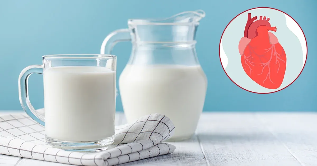 ¿Es posible que la leche entera promueva las enfermedades cardíacas? Las investigaciones indican que no