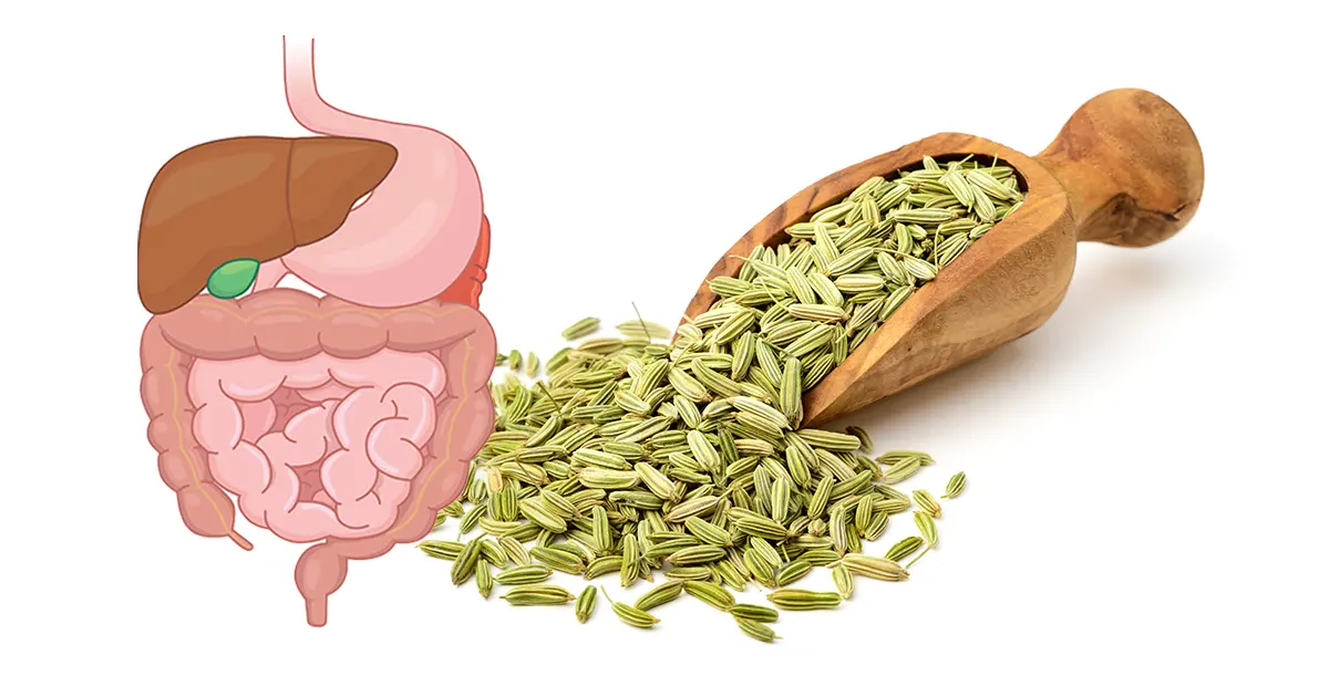 Beneficios de las semillas de hinojo para la digestión