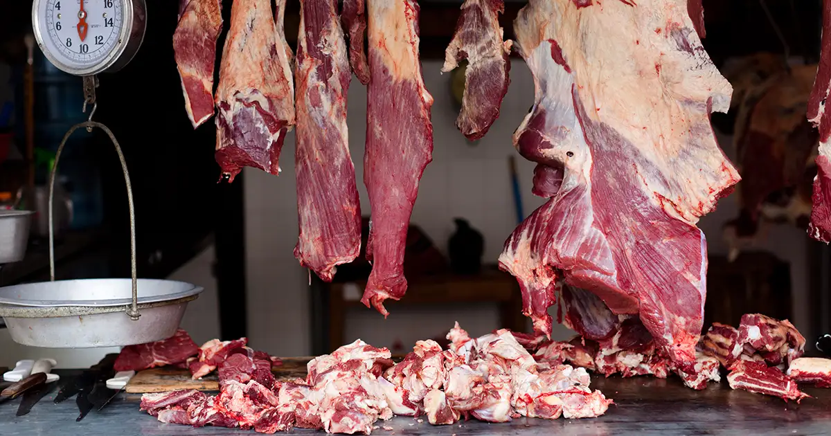 Reporte predice el origen de la próxima pandemia