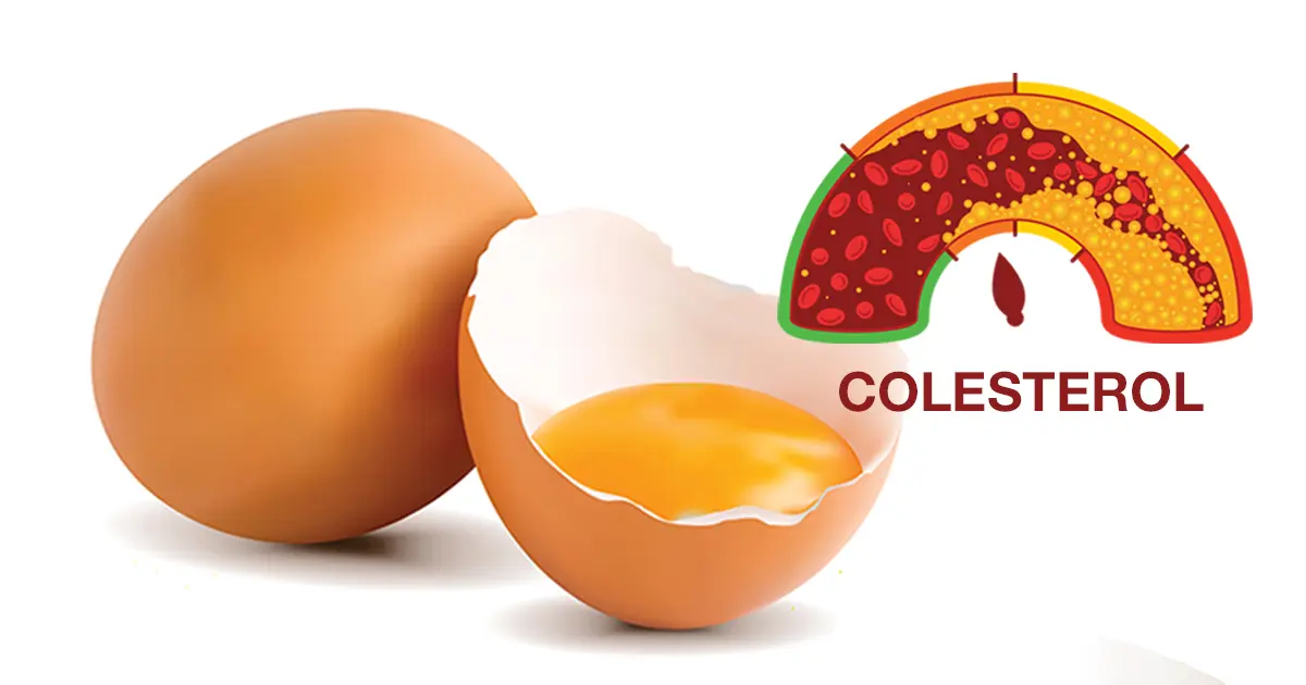 Los huevos son beneficiosos para su colesterol