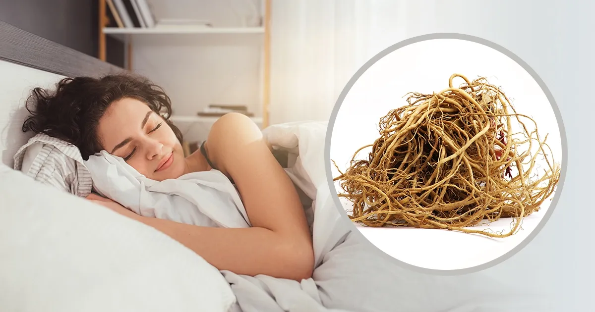 ¿La raíz de valeriana ayuda a dormir mejor?