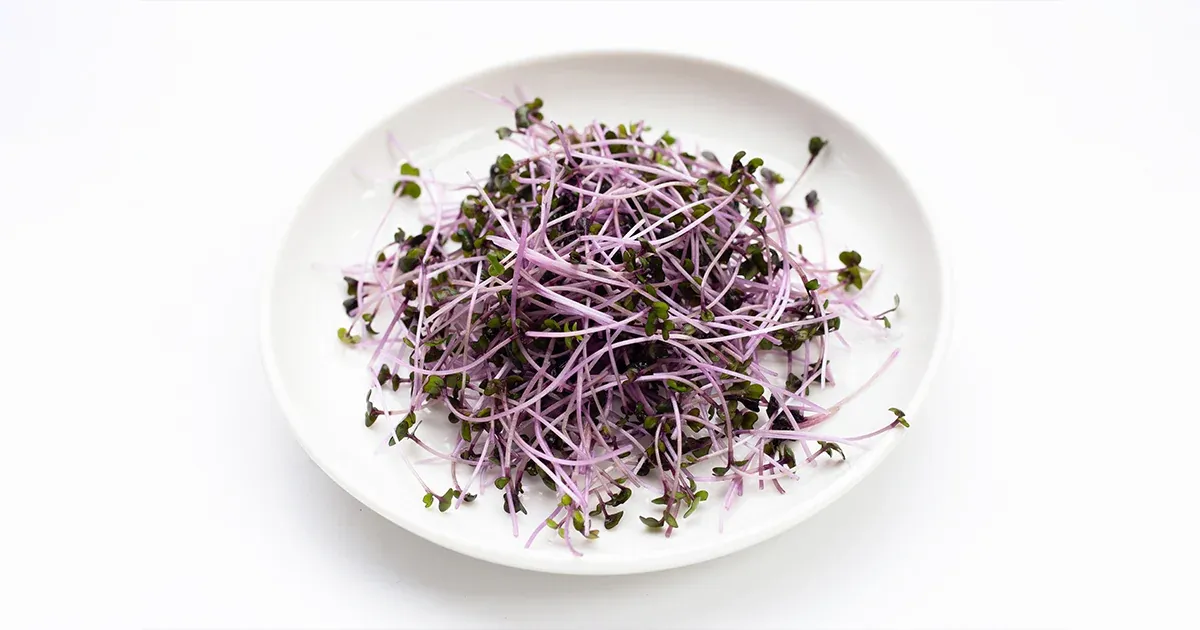 Un nuevo superalimento: germinado de repollo o col roja
