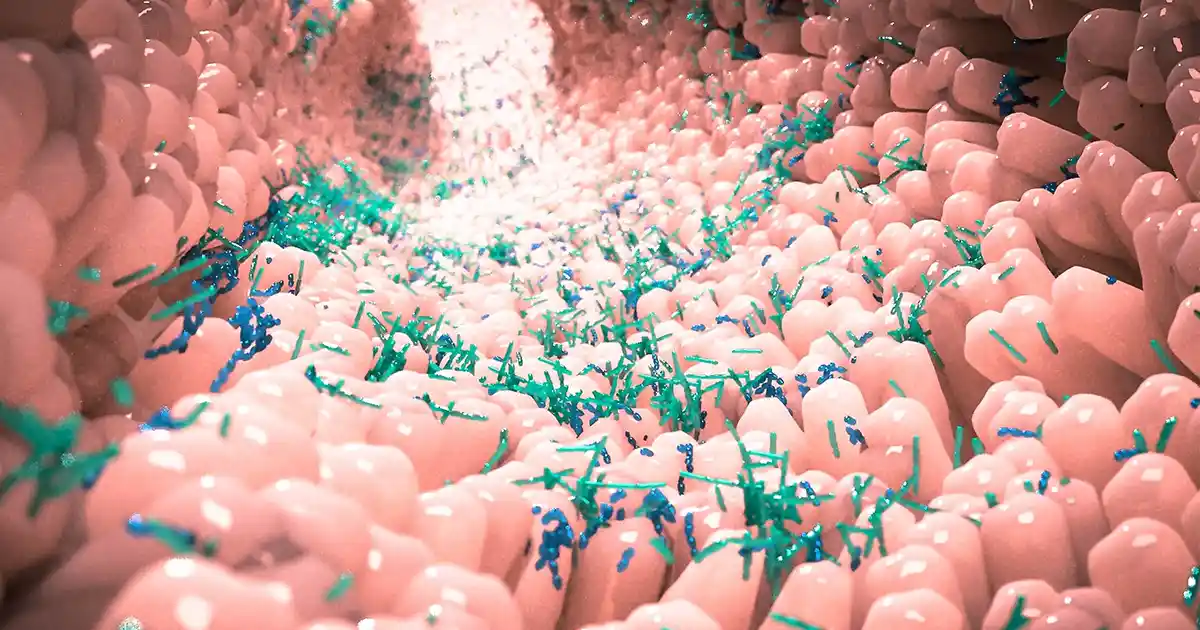 El “ejercito” invisible que habita en su cuerpo y que protege su salud