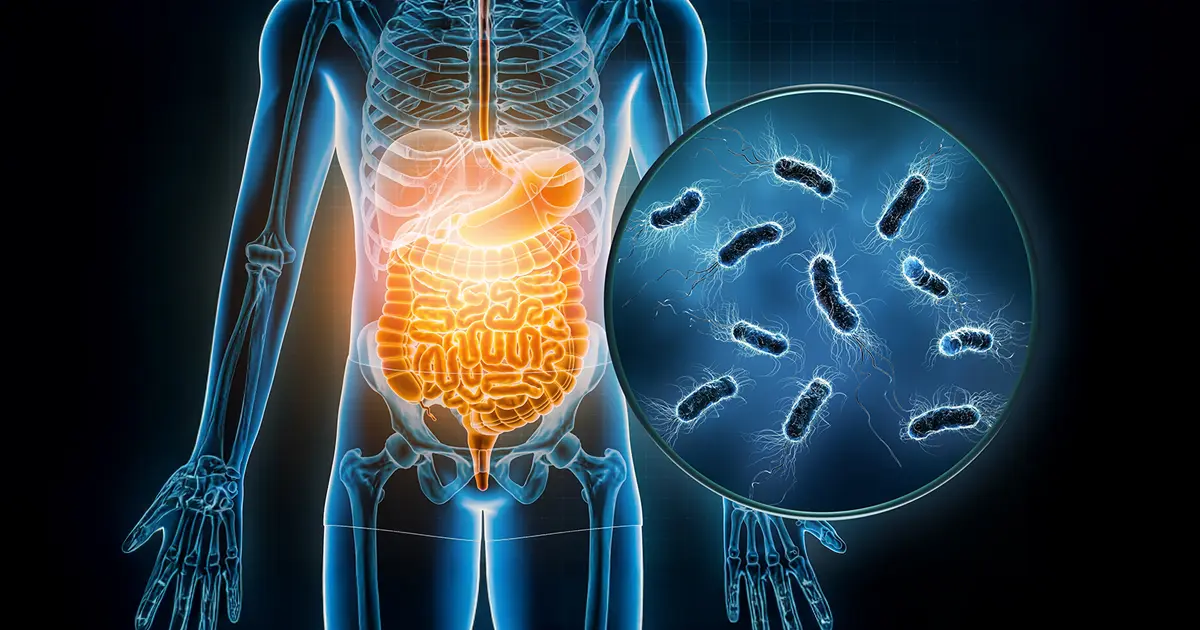 Cuando el intestino pierde equilibrio, incluso las bacterias “buenas” pueden dañarlo