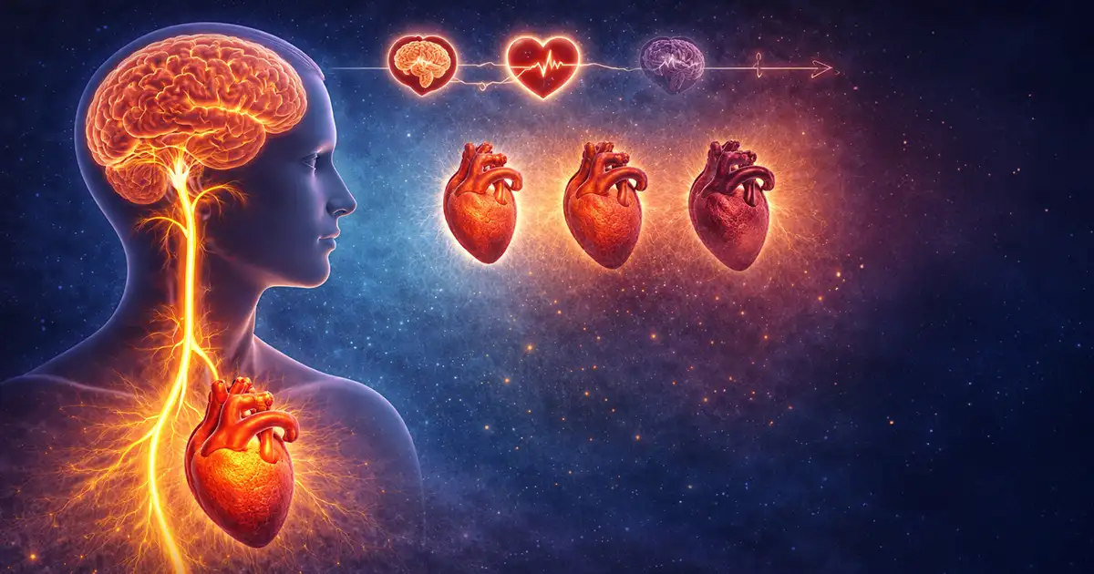 Este fallo interno está debilitando su corazón mucho antes de lo esperado