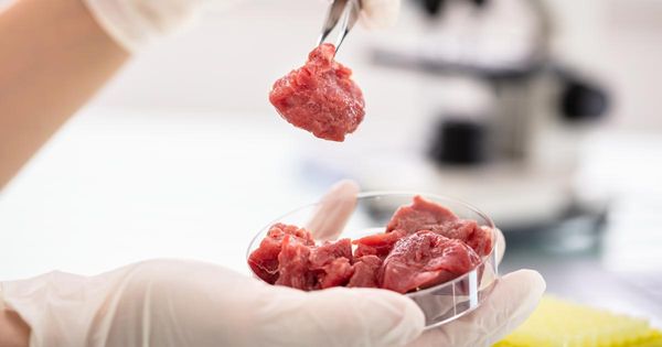 Las mentiras detrás de la carne falsa de laboratorio