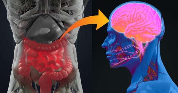 La función del intestino en la enfermedad de Parkinson