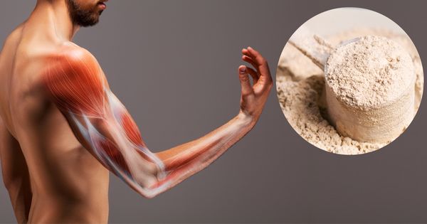 La manera ideal de detener el desgaste muscular después de los 30