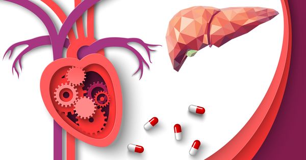 Tres suplementos que podrían reducir su riesgo de enfermedad cardiovascular y metabólica