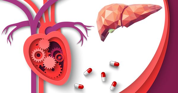 Tres suplementos que podrían reducir su riesgo de enfermedad cardiovascular y metabólica