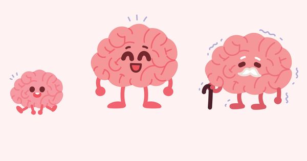 Comer bien y hacer ejercicio podrían retroceder la edad de su cerebro