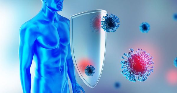 El poderoso nutriente que podría reducir su riesgo de morir por COVID