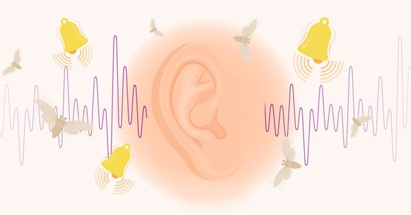 Mercola responde: TINNITUS: Una extraña afección del oído