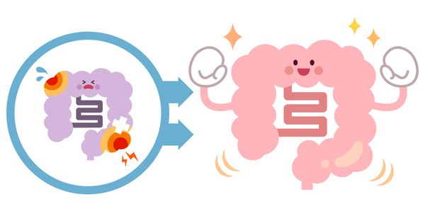 Ayude a sanar su intestino en tan solo algunas semanas