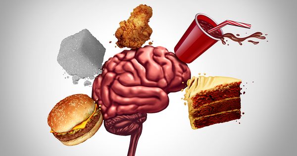 La comida chatarra programa su cerebro para comer más