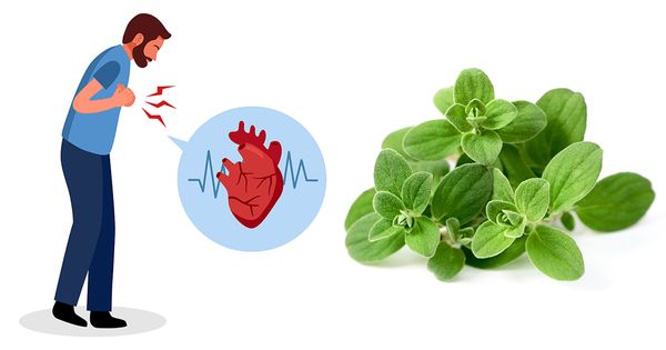 Ayude a prevenir las enfermedades cardíacas con solo añadir esta hierba a sus alimentos
