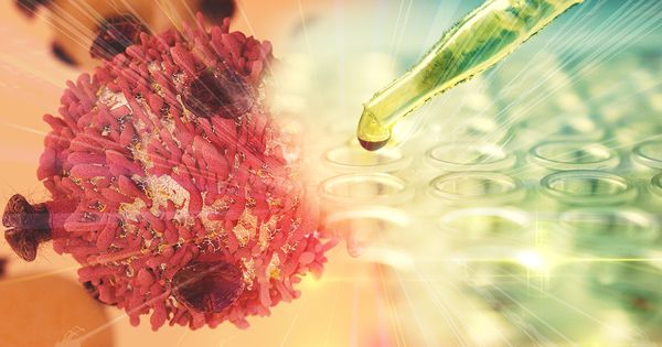 La vitamina que disminuye el riesgo de morir por cáncer