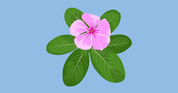 Uno de los secretos mejor guardados para combatir el cáncer