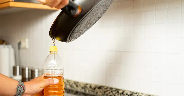 Las investigaciones más recientes sobre los mejores aceites para cocinar