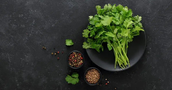 ¿Para qué es bueno el cilantro?