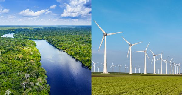 ¿Deforestar el Amazonas para construir molinos de energía verde?