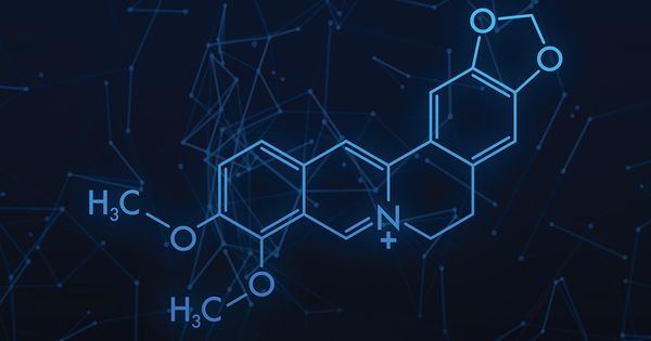 Esta podría ser una opción natural para 'adelgazar'