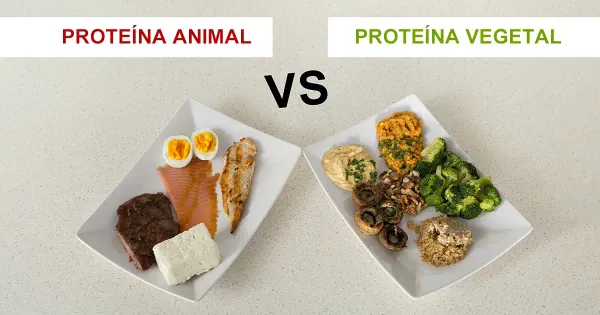 Proteína de origen animal versus proteína de origen vegetal