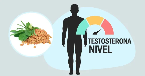 El fenogreco podría aumentar la testosterona