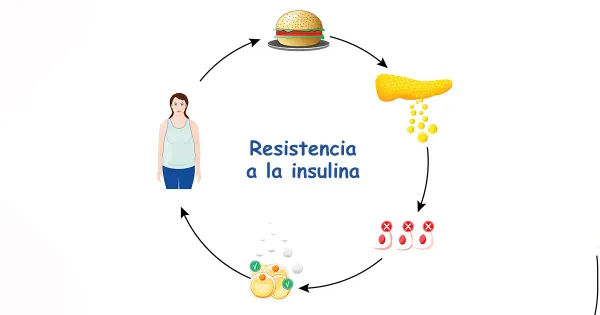Relación entre la resistencia a la insulina y el desarrollo acelerado de enfermedades