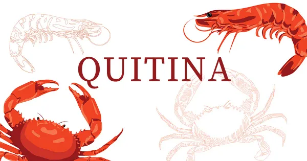 ¿Debería consumir quitina?