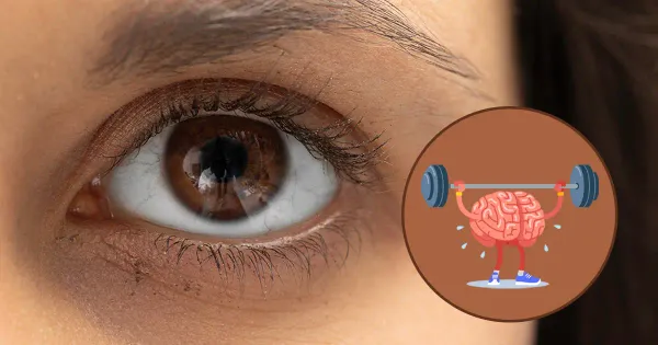 Las pupilas podrían indicar cómo el ejercicio ligero afecta su cerebro