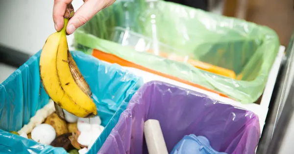 Los 11 mejores consejos para convertirse en un experto en reciclaje