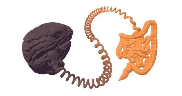 La enfermedad cerebral que se origina en el intestino