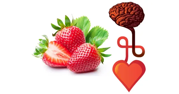 Las fresas podrían beneficiar el corazón y el cerebro