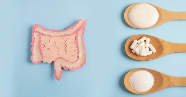Los mejores probióticos para ayudar a revertir las enfermedades crónicas