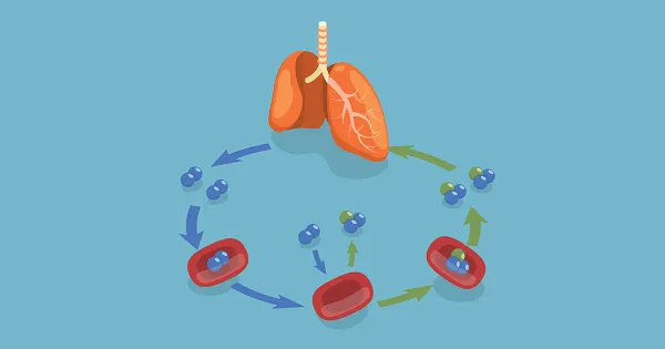 Este gas es un increíble aliado para su salud y longevidad