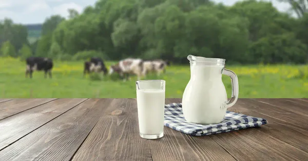 ¿Qué tan orgánica es su leche orgánica?