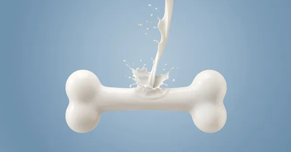 Consuma más de este delicioso alimento para evitar la osteoporosis
