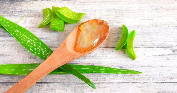 ¿Cuáles son los beneficios del aloe vera?