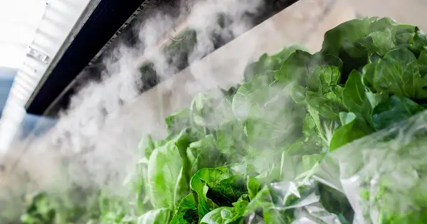 Alerta al consumidor: ¿se ha preguntado con qué rocían las frutas y verduras en los supermercados?