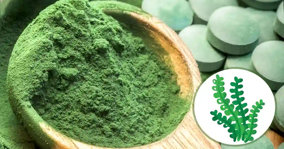 La planta que es considerada el 'superalimento' más saludable del momento