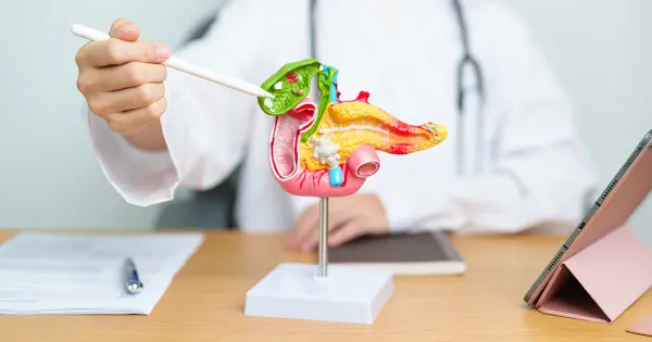 Después del cambio: ¿qué pasa con su digestión?